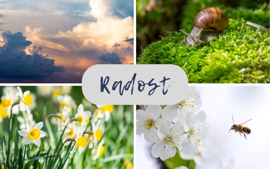 Fotokoláž na téma Radost