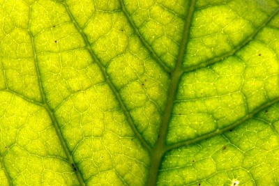 Krásy kolem nás - pohlednice z výletu