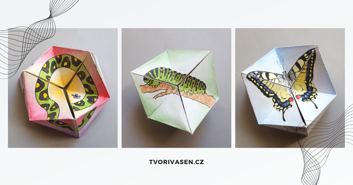 Flexagony - ukázka barevných šablon