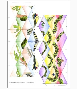 nahled barevné šablony pro tisk